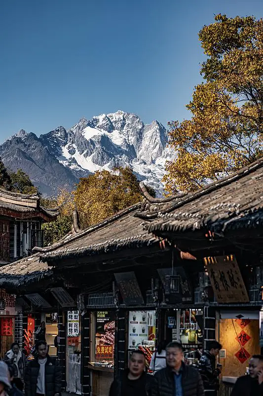 哪里有针对业余爱好者的篮球训练策略_1